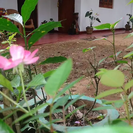 Winstar Homestay Sigiriya Exterior foto