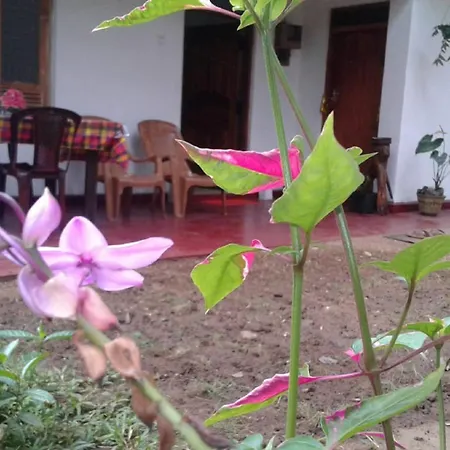 Winstar Homestay Sigiriya Exterior foto