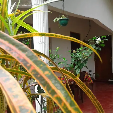Winstar Homestay Sigiriya Exterior foto