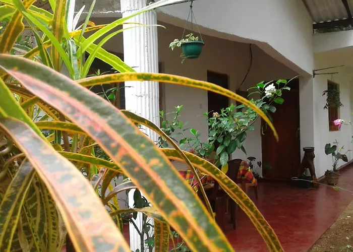 Winstar Homestay